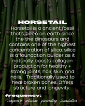 Load image into Gallery viewer, GREEN APHRODISIAC: MINERAL MATRIX TEA