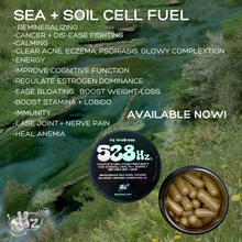 Load image into Gallery viewer, SEA+SOIL CELL FUEL CAPSULES : 528hz