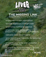 Load image into Gallery viewer, FOUNDATION PACK