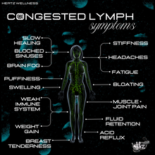 Load image into Gallery viewer, LYMPHLOVE: LYMPHATIC SUPPORT + IMMUNITY RESET CAPSULES
