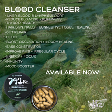 Load image into Gallery viewer, BLOOD CLEANSING CAPSULES: 741hz