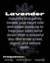 Load image into Gallery viewer, SLEEP FREQ. bedtime tea