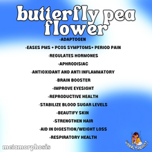 Load image into Gallery viewer, Metamorphosis: Women’s Health Support