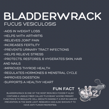 Load image into Gallery viewer, BLOOD CLEANSING CAPSULES: 741hz
