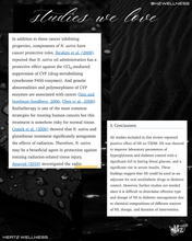 Load image into Gallery viewer, ULTIMATE HEALER: BLACK SEED +SEA MOSS CAPSULES
