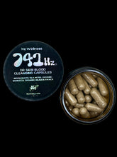 Load image into Gallery viewer, BLOOD CLEANSING CAPSULES: 741hz
