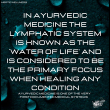 Load image into Gallery viewer, LYMPHLOVE: LYMPHATIC SUPPORT + IMMUNITY RESET CAPSULES
