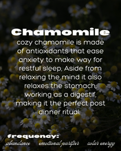 Load image into Gallery viewer, SLEEP FREQ. bedtime tea
