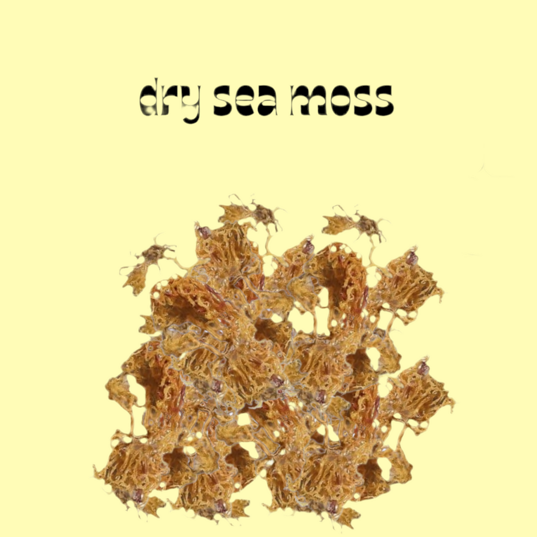 DRY SEA MOSS