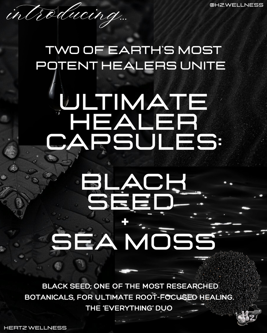 ULTIMATE HEALER: BLACK SEED +SEA MOSS CAPSULES
