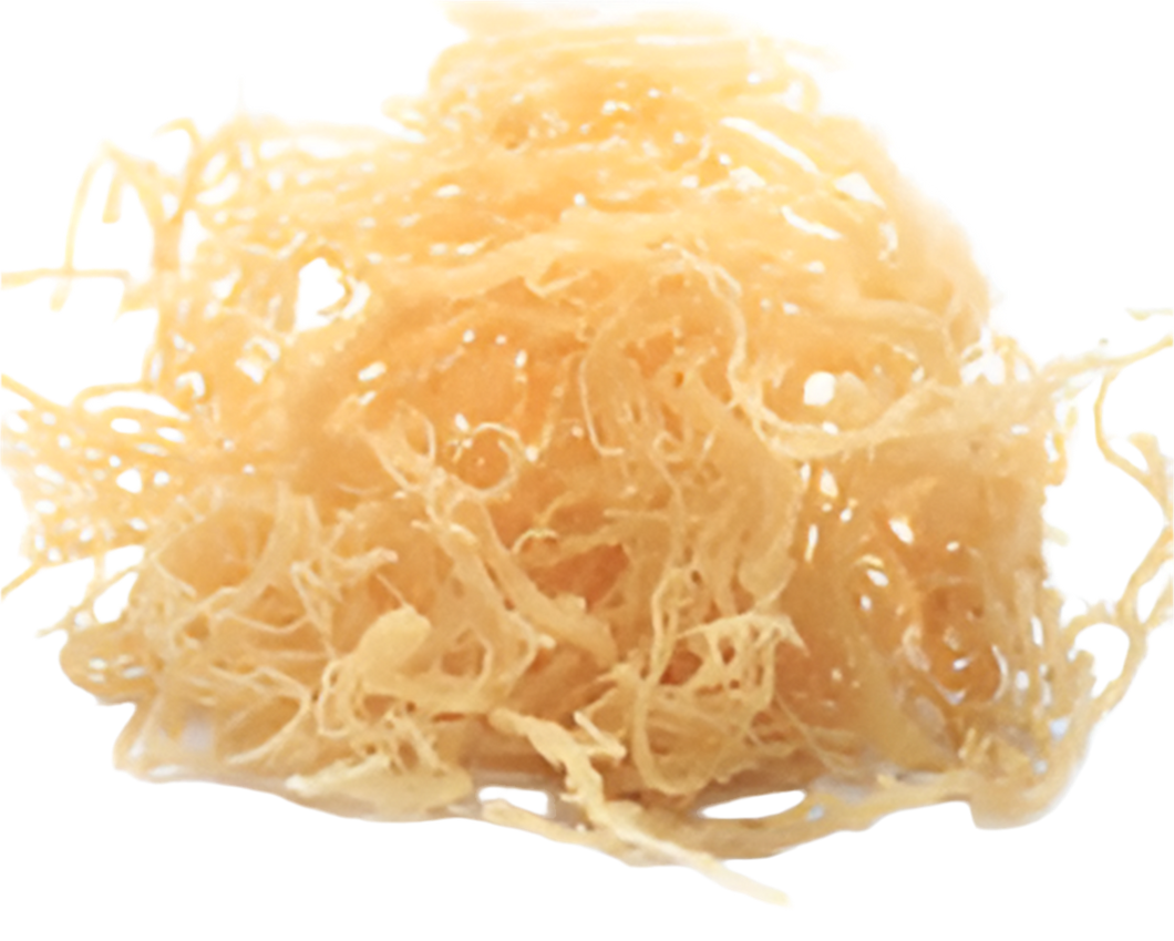 DRY SEA MOSS