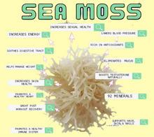Load image into Gallery viewer, 888Hz sea moss gel (formerly pure)
